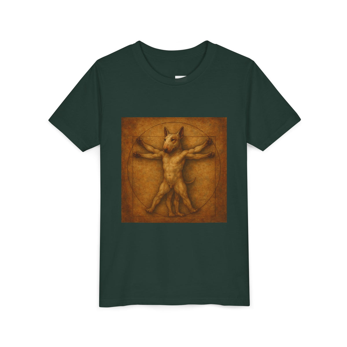 Bull Terrier Vitruvian Man — after Leonardo da Vinci, c.1490 | Youth Tee